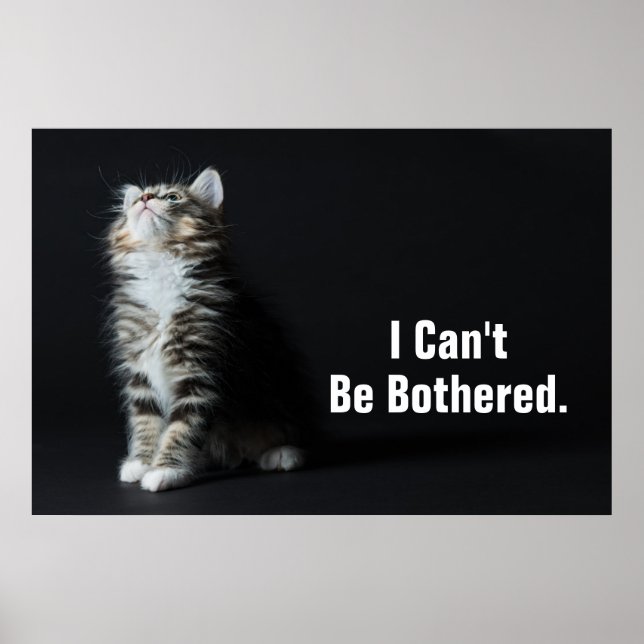 Affiches Tall Tabby (Devant)