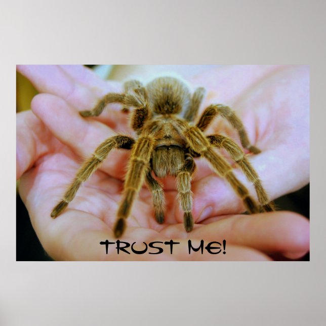 Affiches Tarantula, Faites-moi confiance ! (Devant)