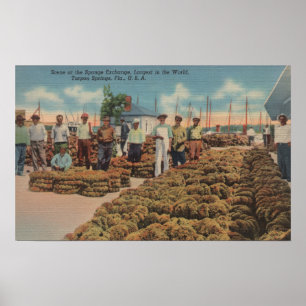 Affiches Tarpon Springs, FL - scène d'échange d'éponge