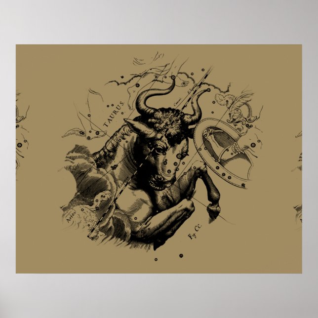 Affiches Taurus Constellation Hevelius 1690 Engraving (Devant)