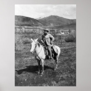 Affiches Teddy Goes Bear Hunting, 1905