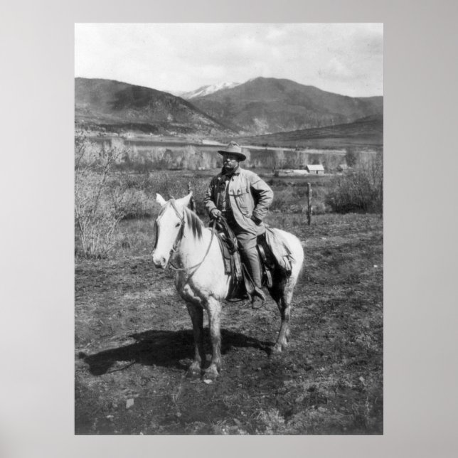 Affiches Teddy Goes Bear Hunting, 1905 (Devant)