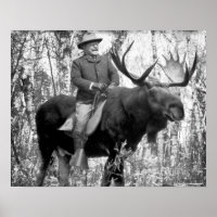Teddy Roosevelt À L'Épreuve D'Une Oie À Taureau