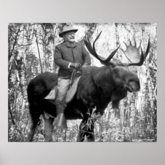 Affiches Teddy Roosevelt À L'Épreuve D'Une Oie À Taureau