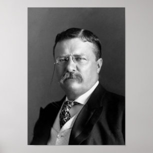 Affiches Teddy Roosevelt Portrait - 1904