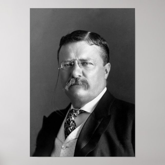 Affiches Teddy Roosevelt Portrait - 1904 (Devant)