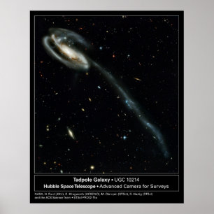 Affiches Télescope Tadpole Galaxy Hubble Photo