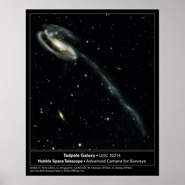 Affiches Télescope Tadpole Galaxy Hubble Photo (Devant)