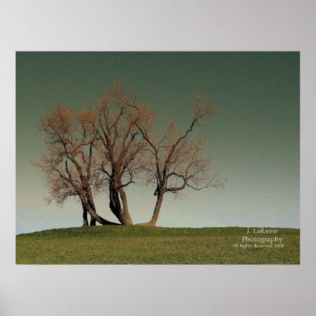 Affiches Tempête (Devant)