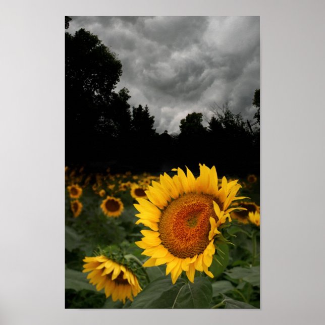 Affiches Tempête d'août (Devant)