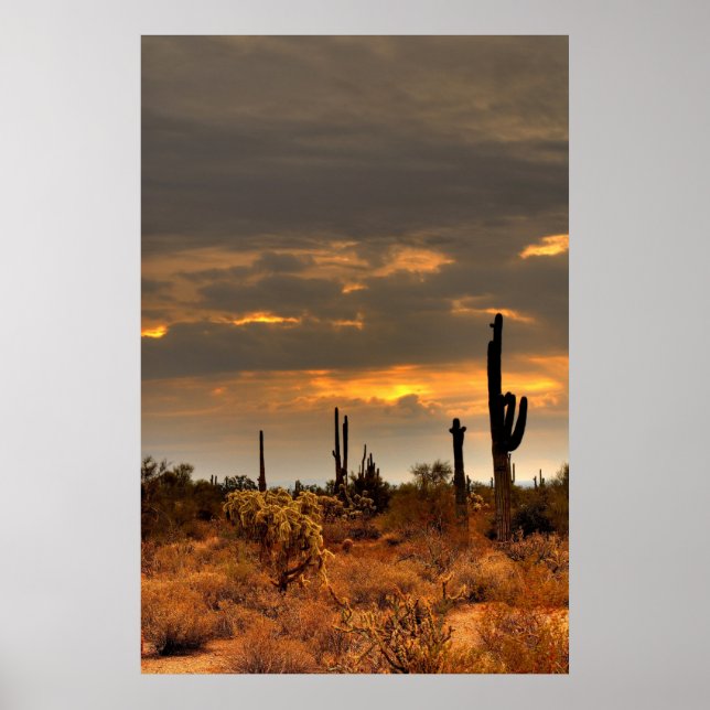 Affiches Tempête du désert (Devant)