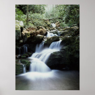 Affiches Tennessee, Parc national des Great Smoky Mountains