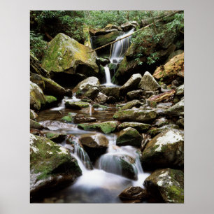 Affiches Tennessee, Parc national des Great Smoky Mountains
