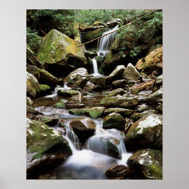 Affiches Tennessee, Parc national des Great Smoky Mountains (Devant)