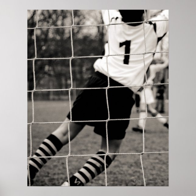 Affiches Tentative de protection de l'équipe avec le réseau (Devant)