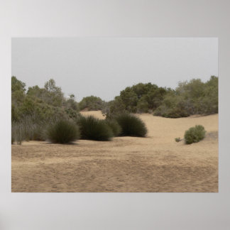 Affiches Terrain désertique 1