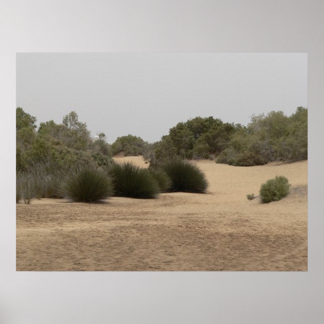 Affiches Terrain désertique 1 (Devant)
