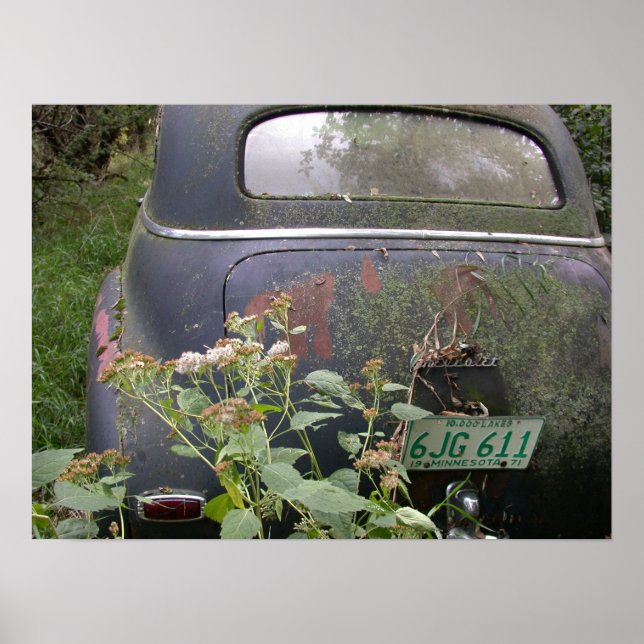 Affiches Terre de 10 000 lacs (Devant)