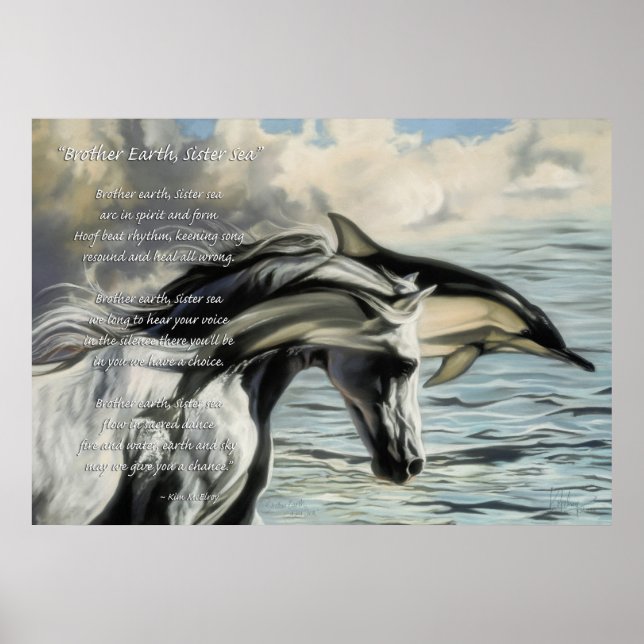 Affiches Terre frère, mer soeur (Devant)