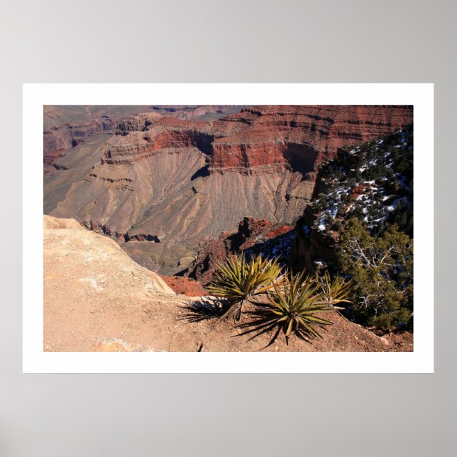 Affiches Terre stratifiée (Devant)