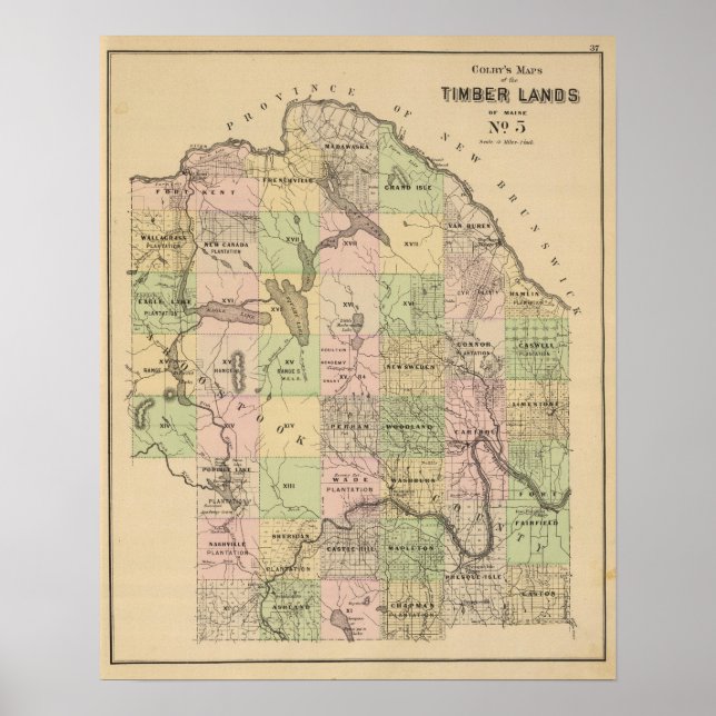 Affiches Terres en bois 5 Carte (Devant)