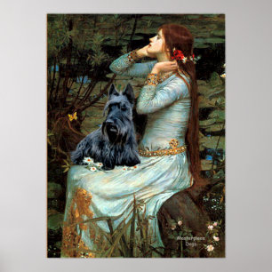 Affiches Terrier écossais 2 - Ophelia assise