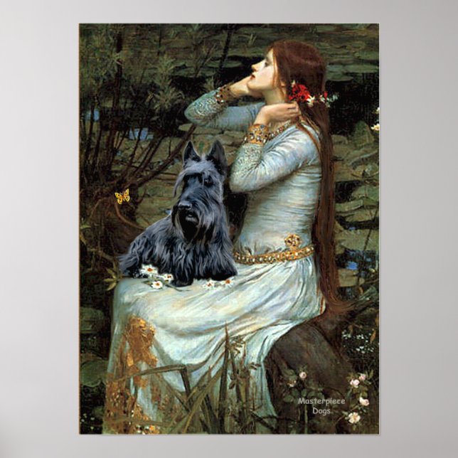 Affiches Terrier écossais 2 - Ophelia assise (Devant)