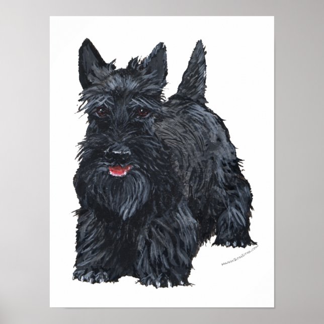 Affiches Terrier Écossais joueur (Devant)