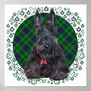 Affiches Terrier Écossais sur Tartan