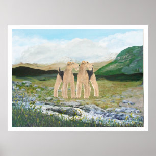 Affiches Terriers en Irlande