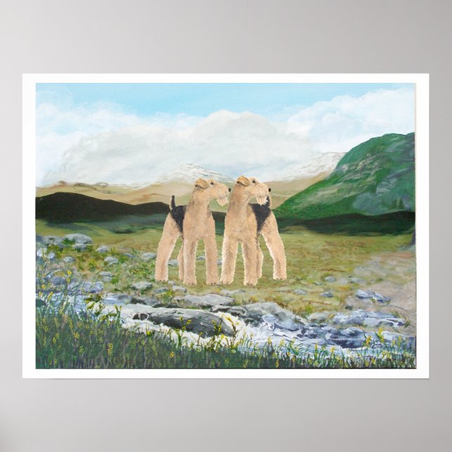 Affiches Terriers en Irlande (Devant)