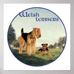 Affiches Térriers gallois