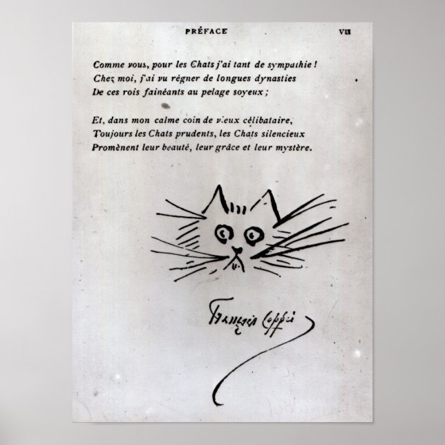 Affiches Tête de chat (Devant)