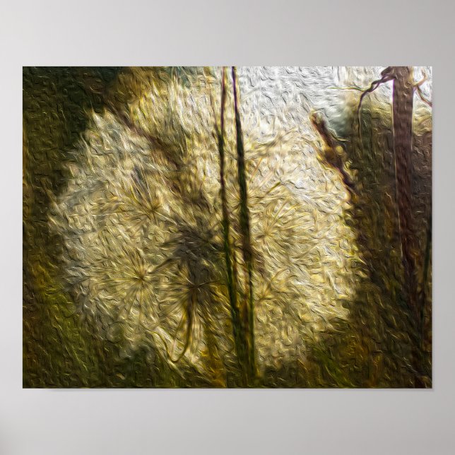 Affiches Tête de semence de Dandelion (peinture à l'huile) (Devant)