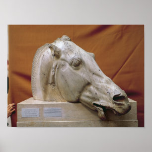 Affiches Tête d'un cheval de Selene