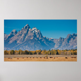 Affiches Teton grand