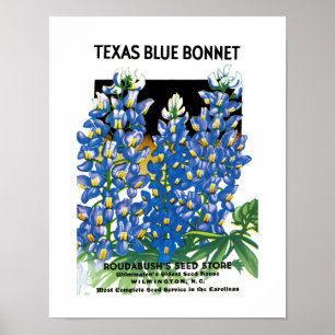 Affiches Texas Blue Bonnet Étiquette de paquets de semences