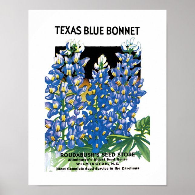 Affiches Texas Blue Bonnet Étiquette de paquets de semences (Devant)