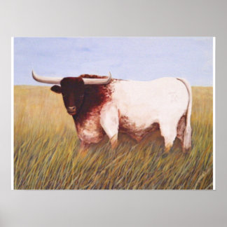 Affiches Texas Longhorn