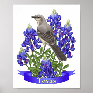 Affiches Texas State Mockingbird & Bluebonnet Flower