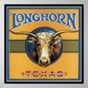Affiches Texas Steer Longhorn