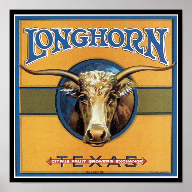 Affiches Texas Steer Longhorn (Devant)