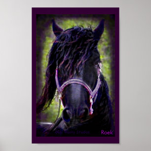 Affiches The Black Stallion Print