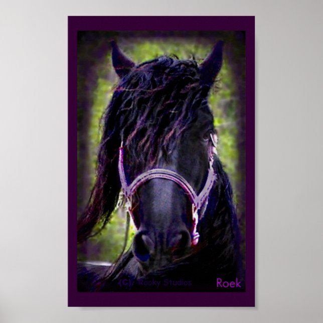 Affiches The Black Stallion Print (Devant)