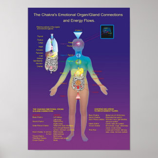 Affiches The Chakra Organ / Gland and Energy Flow