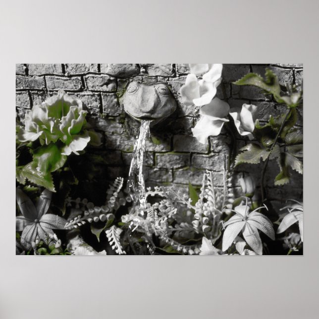 Affiches Thé de sang et Fontaine de grenouille à cordes rou (Devant)