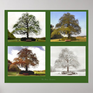 Affiches The Four Seasons