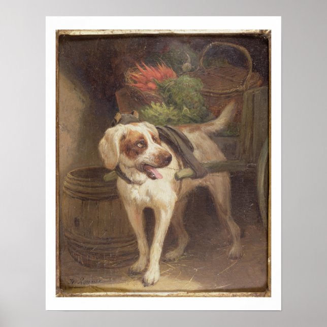 Affiches The Grocer's Dog (Devant)