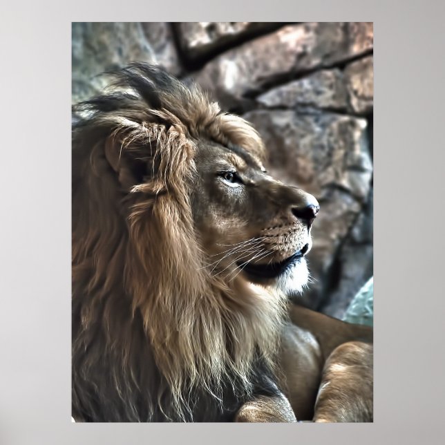 Affiches The King (Devant)