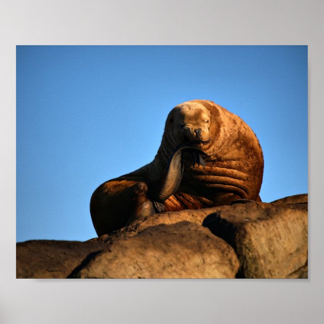 Affiches The Thinker - Estampes d'art fin (Devant)